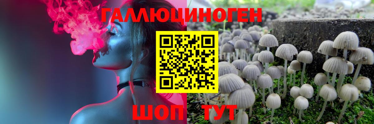 Галлюциногенные грибы Cubensis  Вход с VPN  купить наркотики сайты  Серпухов  Галлюциногенные грибы ЛСД 
